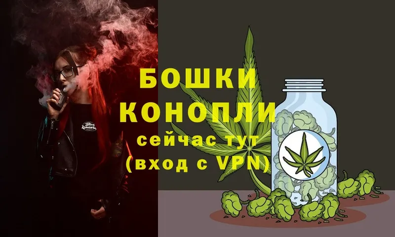 shop наркотические препараты  Дубовка  МАРИХУАНА SATIVA & INDICA 